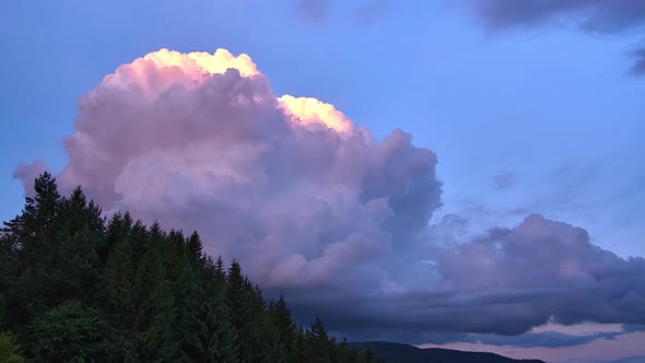 Large cumulus clouds over the trees, 4K