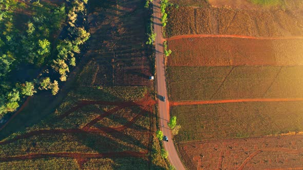 4K : Aerial view from a drone over a rural field at sunrise in Thailand.