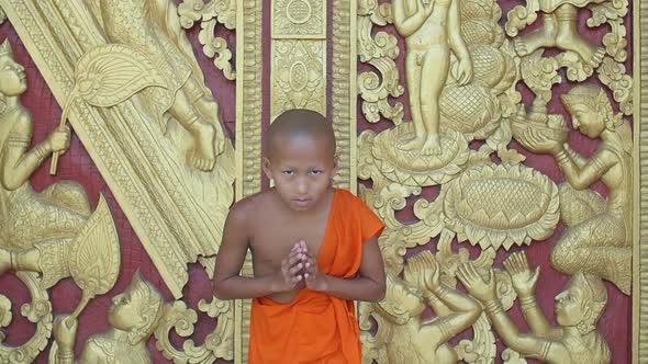 Novice Pay Respect alt