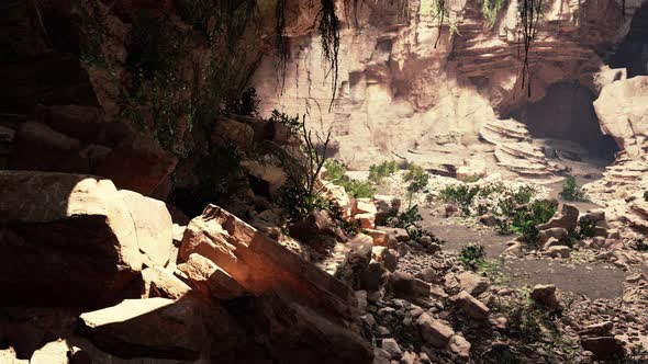 Cave in an Extinct Volcano Covered with Grass and Plants