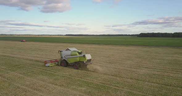 Bird Eye View Combine Harvester Gathers Gold Wheat on Field