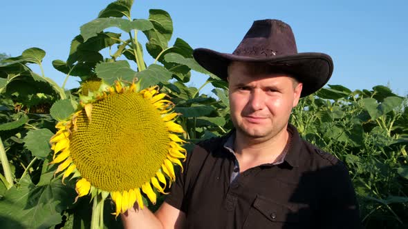 A Caucasian Farmer Inspects a Sunflower Crop and Raises His Thumb Up