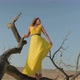 Fashion Blonde Model in Yellow Clothes Posing in the Desert,dried Wood,sunny Day - VideoHive Item for Sale