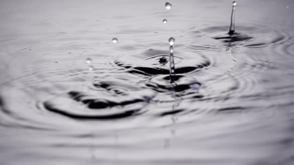 Rain Water Drops Slow Motion