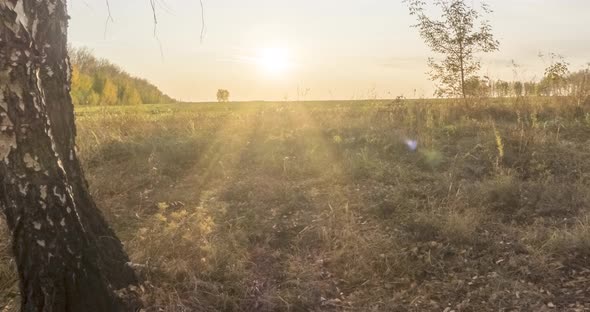 Meadow Timelapse at the Summer or Autumn Time