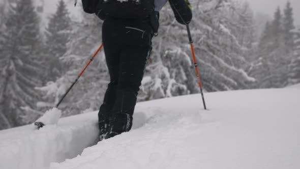 Man Ski Touring In Snow Covered Forest