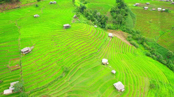 An aerial view over the beautiful rice terraces