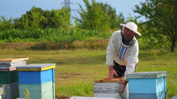 Beekeeper working in his apiary. 