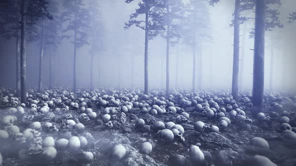 Skulls Forest