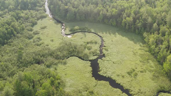 Spectacular aerial view over meandering river mangrove