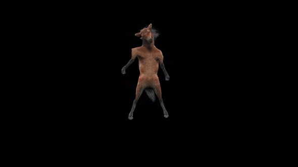 49 Horse Dancing 4K alt