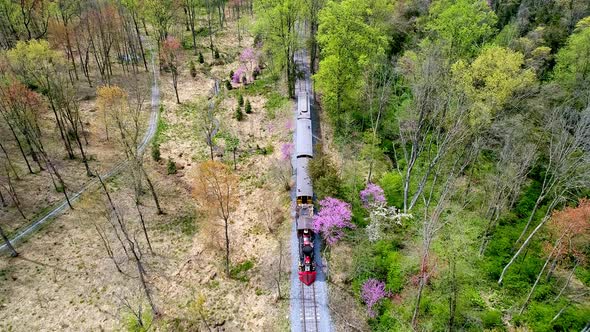 Aerial View of an 1860's Steam Passenger Train Traveling Thru a Wooded Area