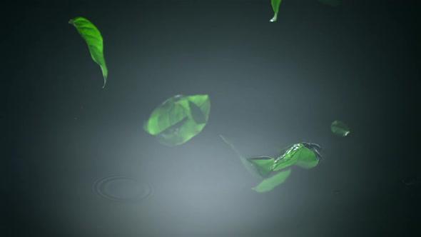leaf falling into water, Slow Motion alt