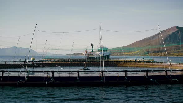 Aquaculture Fish Farm In Round Cage Enclosure With Net Producing Farmed Salmon In Senja Island, Norw
