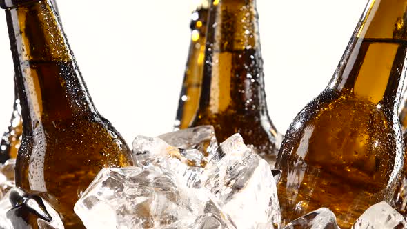 Bottles with Beer, They Spin in the Ice. White Background. Silhouette. Close Up