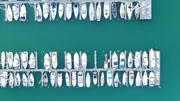 Viaduct Harbour, Auckland New Zealand