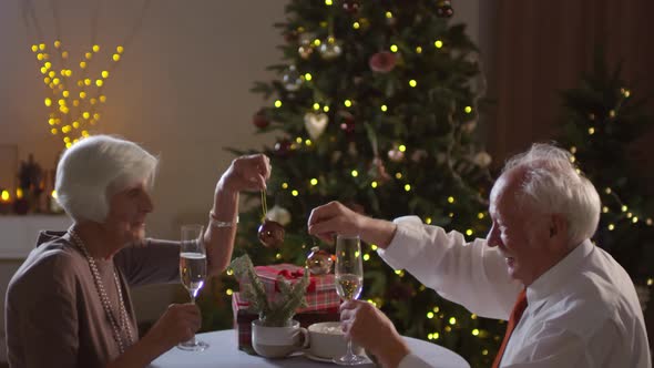 Senior Couple Celebrating Christmas Eve