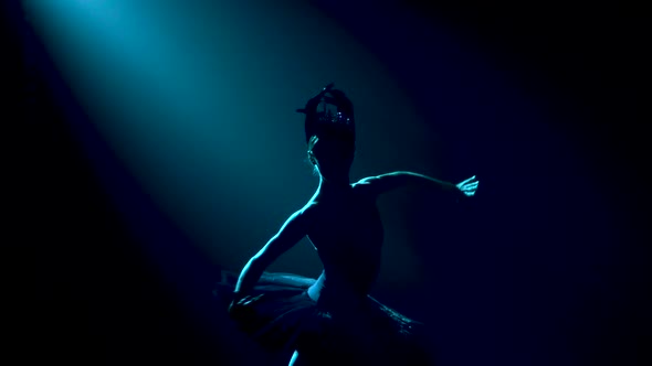 Silhouette of a Graceful Ballerina in a Chic Image of a Black Swan. Classic Ballet Pas. Shot in a