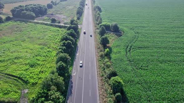 Car Riding on the Highway Through the Forest on Countryside