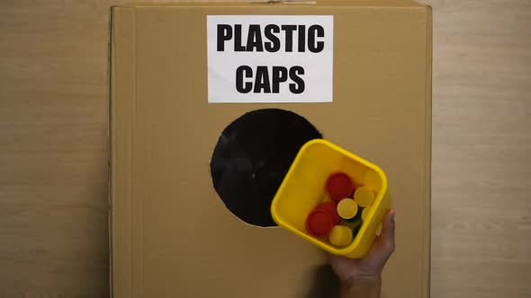 Lady Throwing Plastic Caps in Cardboard Box Collecting Reusable Material Utilize