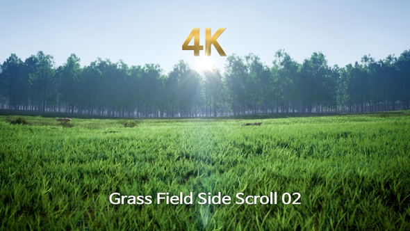 Grass Field Side Scroll 4K 02