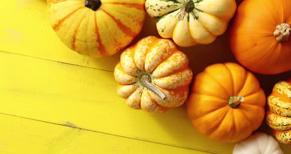 Pile of Ripe Pumpkins