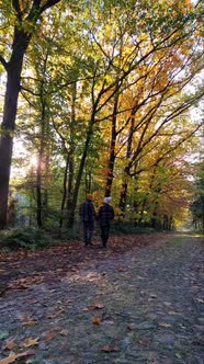 Couple Man and Woman Mid Age Walking in the Forest During Autumn Season in Nature Trekking with