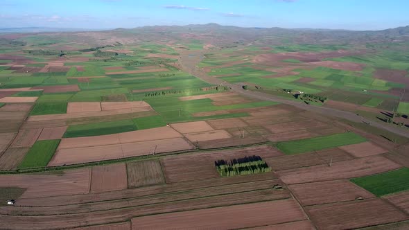 Green and Brown Fields on Vast Plain in Soft Geography