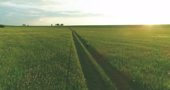 Sporty Child Runs Through a Green Wheat Field. Evening Sport Training Exercises at Rural Meadow. A