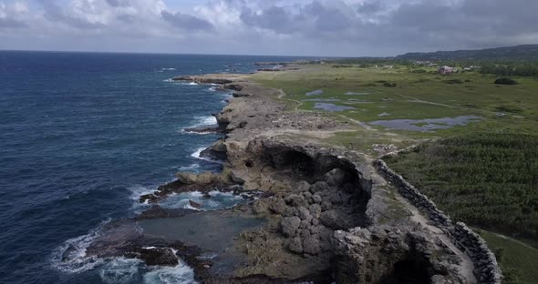 Nature Landscapes Of Barbados