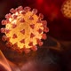 Coronavirus in a human lungs - VideoHive Item for Sale