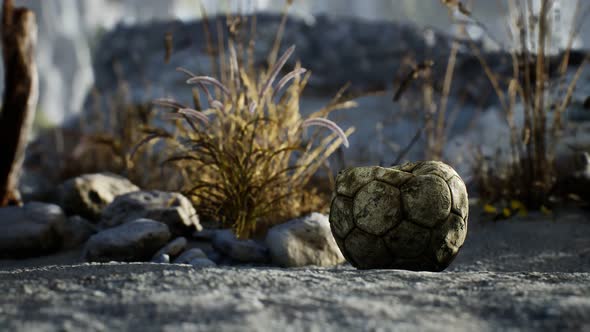 An Old Torn Soccer Ball Thrown Lies on Sand of Sea Beach