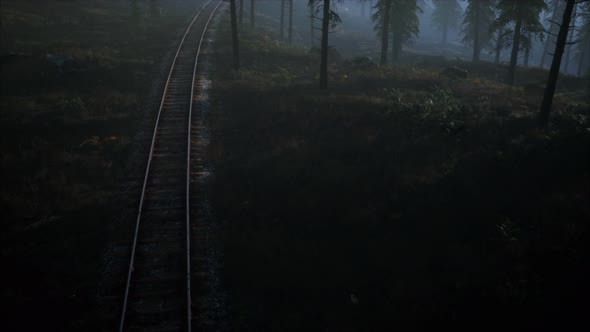 National Forest Recreation Area and the Fog with Railway