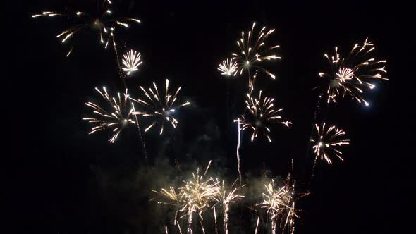 Colorful Firework display at night on sky background