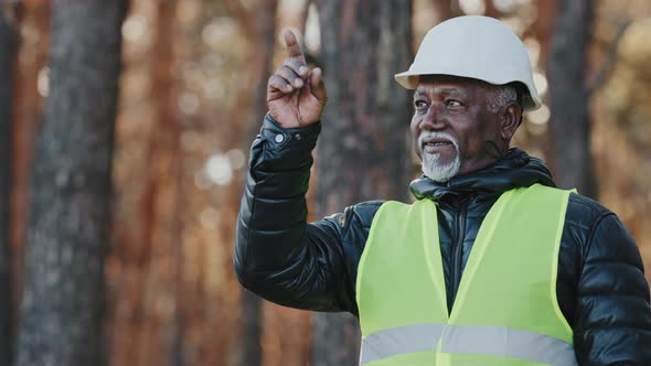 Elderly Forestry Engineer Professional Shares Experience Assesses Environment an Foreman Supervises