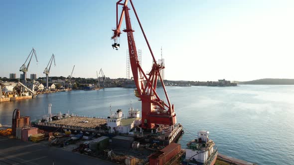 Large Harbor Cranes in the Port
