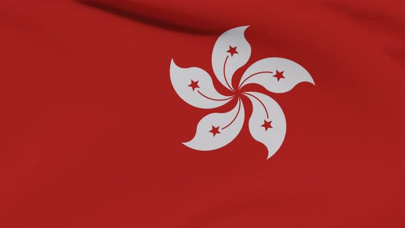 Flag Hong Kong Patriotism National Freedom Seamless Loop