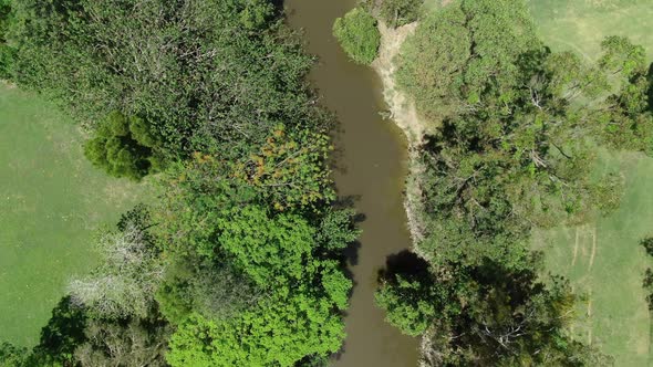 Australian creek meets river ,brown flood waters after rain,summers day in bush land