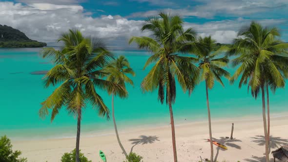 Port Orly sandy beach with palm trees, Espiritu Santo Island, Vanuatu