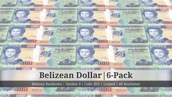 Belizean Dollar | Belize Currency - 6 Pack | 4K Resolution | Looped