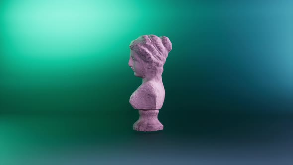 Statue, bust, silhouette. Loop animation.