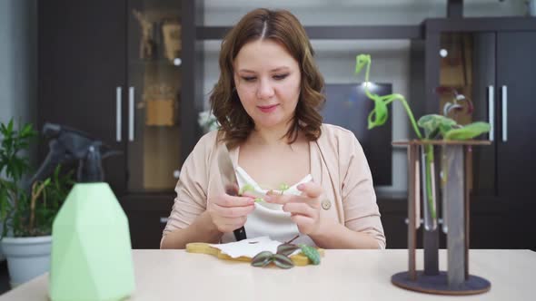 Woman Roots Indoor Plant Sprouts in Special Glass Flasks