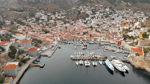 Island Hydra