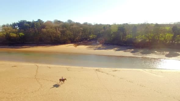 Woman riding horse on a beach