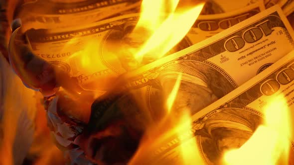 Dollar Notes Put On Fire