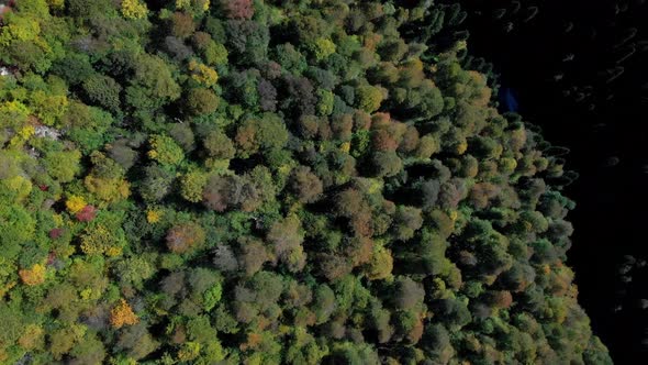 Exciting Bird's Eye View on the Forested Cacasian Mountains