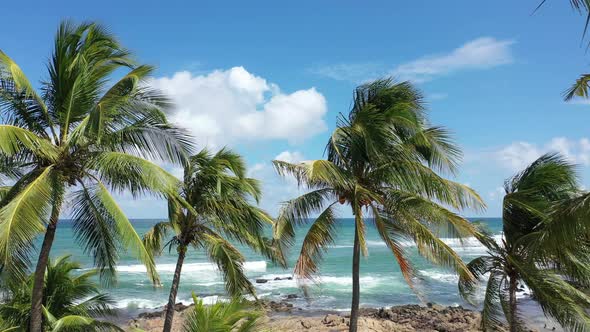 Salvador Bahia Brazil. Travel destinations at brazilian northeast.