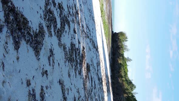 Vertical Video Empty Beach on Zanzibar Island Tanzania Aerial View