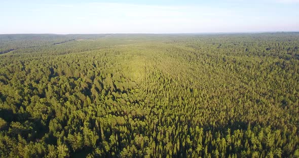 Siberian Taiga