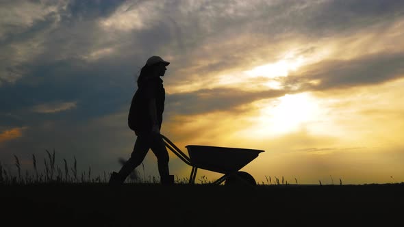 Harvesting